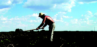 Trabalhadores Rurais