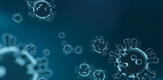 Boletim Covid-19 – Lauro de Freitas