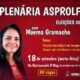 Plenária Eleições