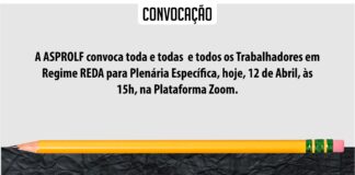 Plenária Profissionais em regime “REDA”