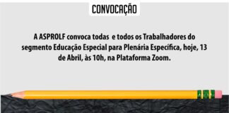 Plenária Educação Especial