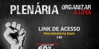 Link de Acesso: Plenária organizar a luta
