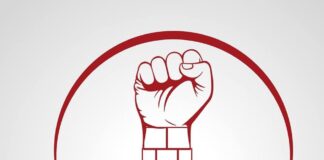 Categoria fará documento diagnóstico da estrutura da Rede